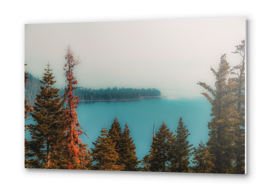 pine tree and lake at Emerald Bay Lake Tahoe California USA Metal prints by Timmy333