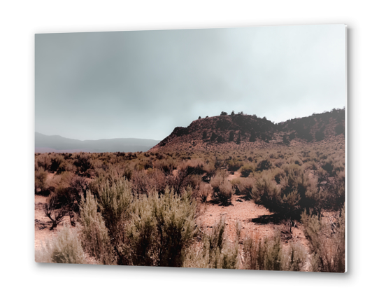 Desert view with foggy blue sky in California USA Metal prints by Timmy333