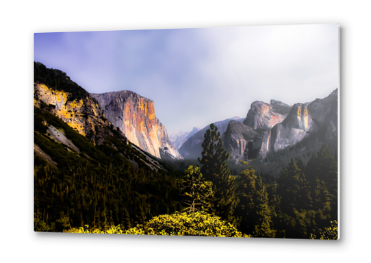 Mountains with blue sky in the forest at Yosemite national park, California, USA Metal prints by Timmy333