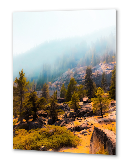 pine tree on the mountain with sunlight at Lake Tahoe, California, USA Metal prints by Timmy333