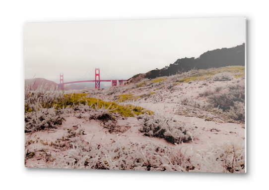 At Golden Gate bridge San Francisco California USA Metal prints by Timmy333