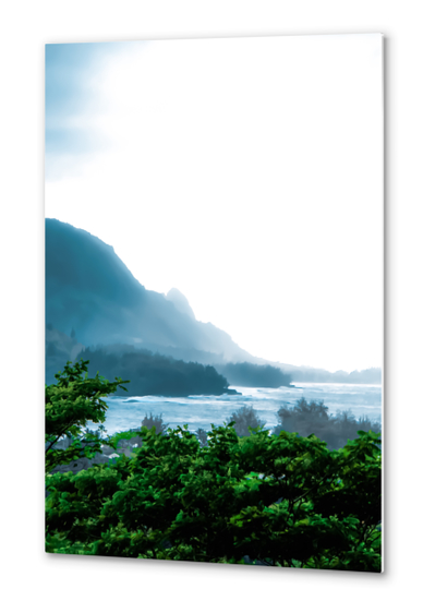 green tropical land with ocean front at Kauai, Hawaii, USA Metal prints by Timmy333