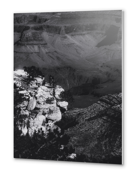 Desert scenic at Grand Canyon national park, Arizona, USA in black and white Metal prints by Timmy333