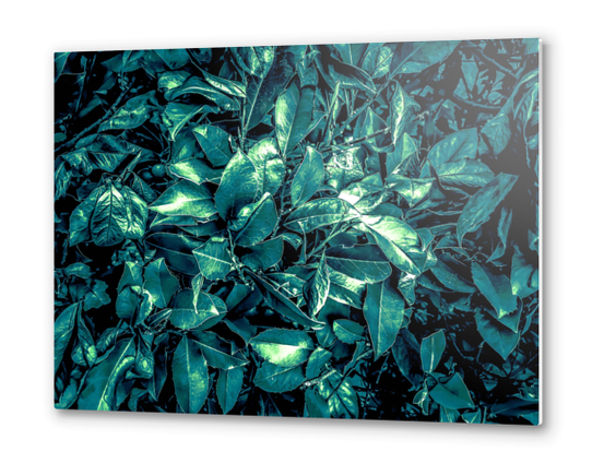 vintage style green leaves texture background Metal prints by Timmy333