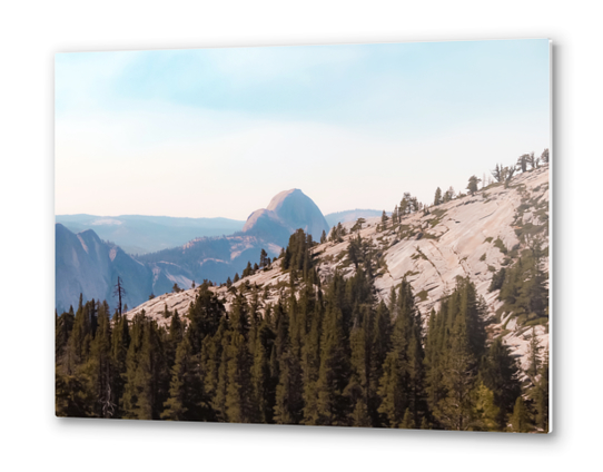 mountain and pine tree at Yosemite national park USA Metal prints by Timmy333