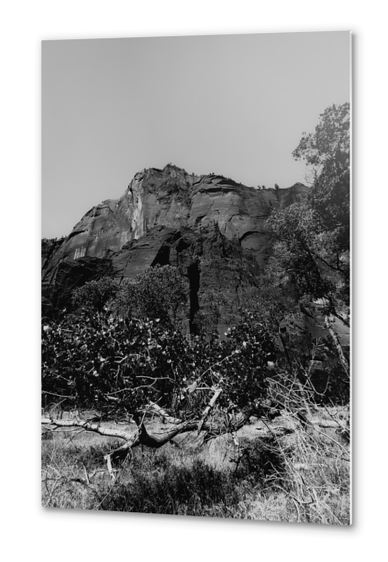 mountain in the forest at Zion national park Utah USA in black and white Metal prints by Timmy333