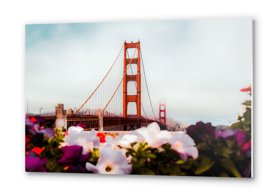 Golden Gate Bridge, San Francisco, USA with blooming flowers Metal prints by Timmy333