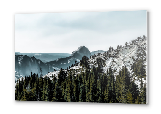 Mountains with pine tree at Yosemite national park, California, USA Metal prints by Timmy333