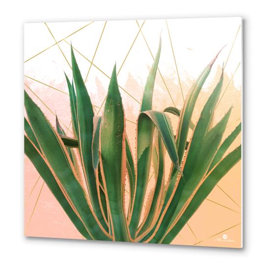 Cactus with geometric Metal prints by mmartabc