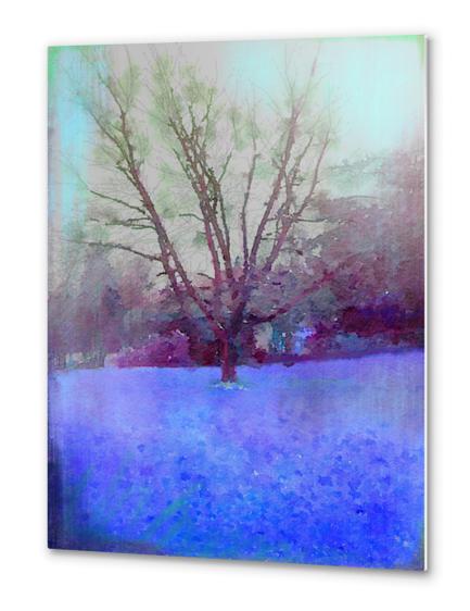 Cerisier en hiver Metal prints by Malixx