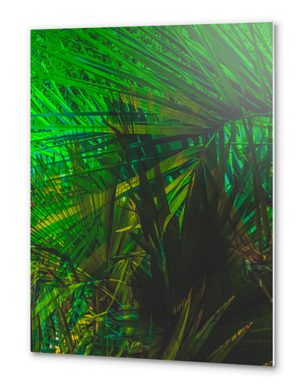 Closeup green palm leaves texture abstract background Metal prints by Timmy333