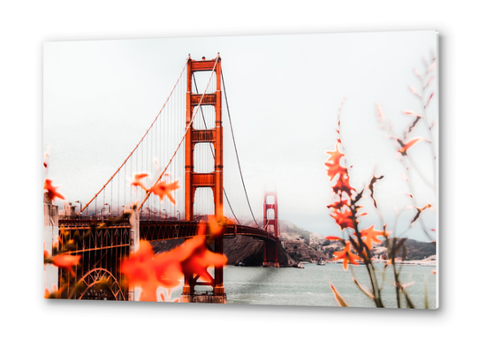 At Golden Gate Bridge, San Francisco, California, USA Metal prints by Timmy333