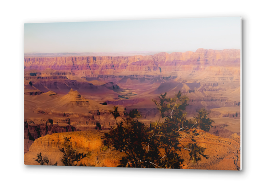 Desert in summer at Grand Canyon national park USA Metal prints by Timmy333
