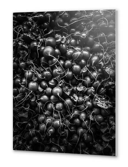 closeup fresh radish texture background in black and white Metal prints by Timmy333