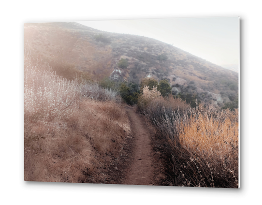walkway with mountain view and dry grass field Metal prints by Timmy333