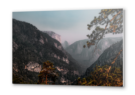 mountain in the forest at Yosemite national park California USA Metal prints by Timmy333