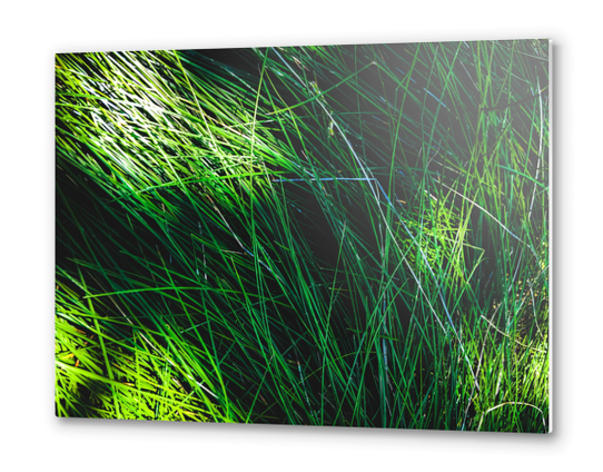 closeup green grass field texture abstract background Metal prints by Timmy333