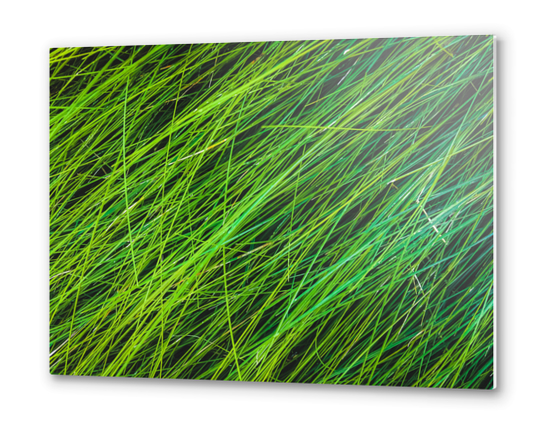 green grass field texture abstract background Metal prints by Timmy333