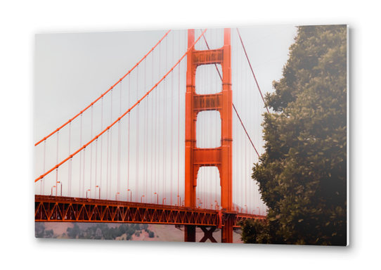 Closeup Golden Gate Bridge San francisco USA Metal prints by Timmy333