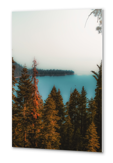 pine tree and lake scenic at Emerald Bay Lake Tahoe California USA Metal prints by Timmy333