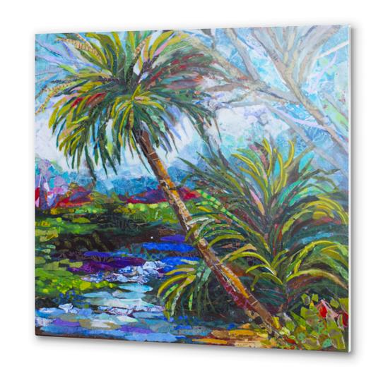 Wekiva River Palms Metal prints by Elizabeth St. Hilaire