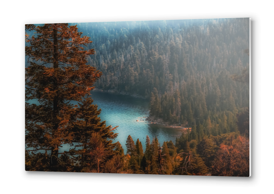 pine tree at Emerald Bay Lake Tahoe California USA Metal prints by Timmy333