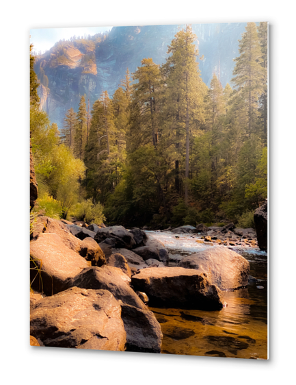 river and pine tree at Yosemite national park USA Metal prints by Timmy333