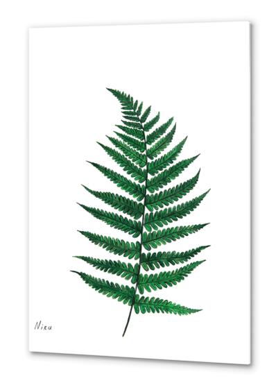 Fern Metal prints by Nika_Akin