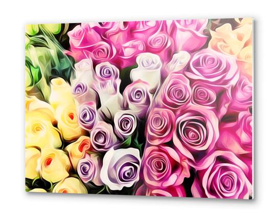 pink purple and yellow roses painting background Metal prints by Timmy333