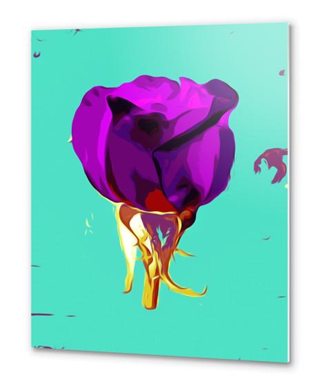 purple rose with gold stem and green background Metal prints by Timmy333