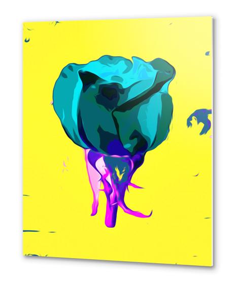 green rose with purple stem and yellow background Metal prints by Timmy333