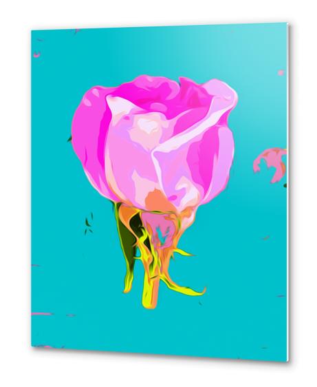 drawing pink rose with blue background Metal prints by Timmy333