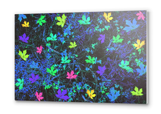 maple leaf in pink green purple blue yellow with blue creepers plants background Metal prints by Timmy333