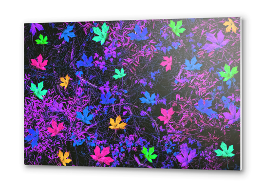 maple leaf in pink blue green yellow purple with pink and purple creepers plants background Metal prints by Timmy333