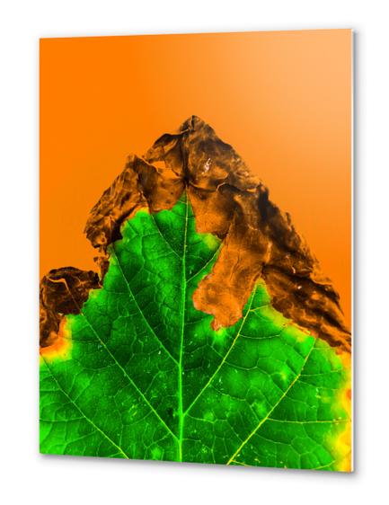 close up burning green leaf texture with orange background Metal prints by Timmy333