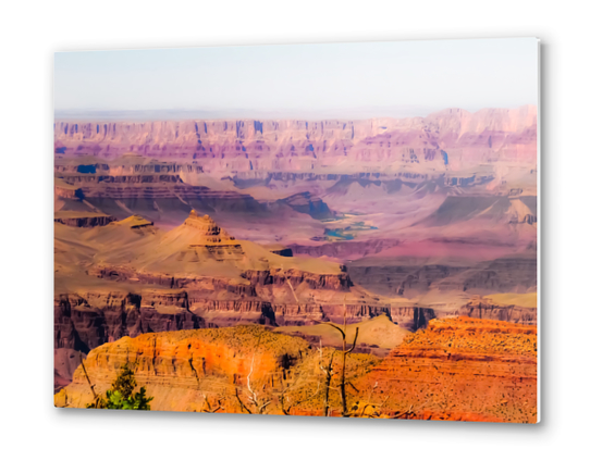 desert view at Grand Canyon national park, USA Metal prints by Timmy333