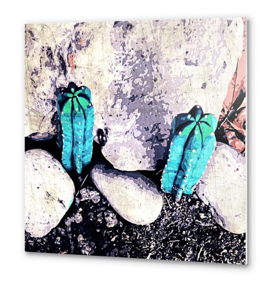 green cactus on the ground with stone background Metal prints by Timmy333