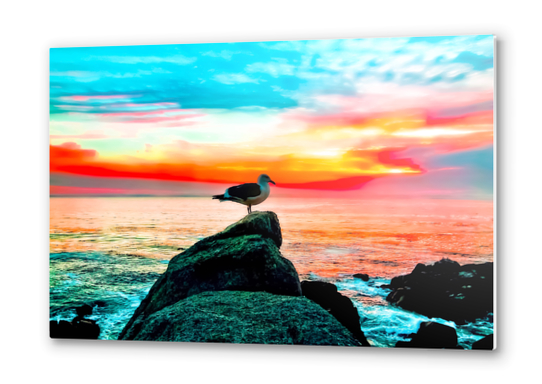 seagull bird on the stone with ocean sunset sky background in summer Metal prints by Timmy333