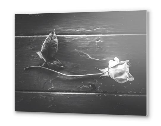 rose with leaves on the wood table in black and white Metal prints by Timmy333