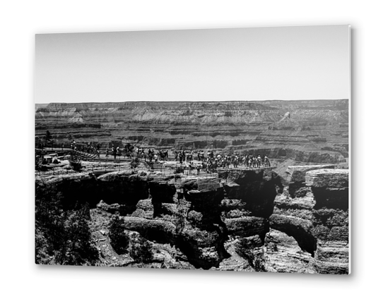 at Grand Canyon national park, USA in black and white Metal prints by Timmy333