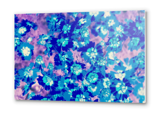 blooming blue flower abstract with pink background Metal prints by Timmy333