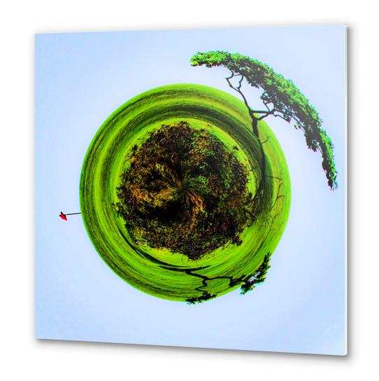 golf course with trees and blue sky in small planet style Metal prints by Timmy333