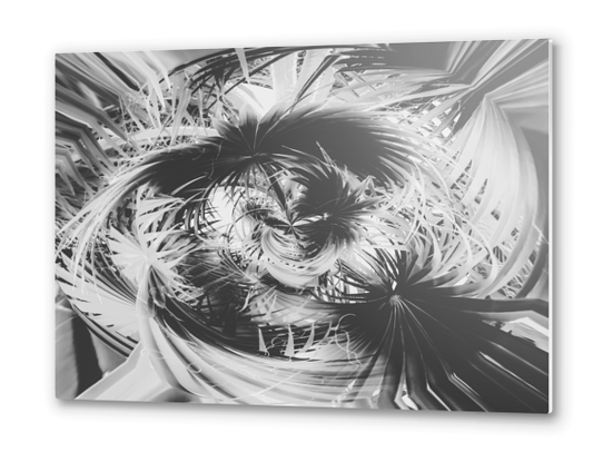 spiral palm leaves abstract background in black and white Metal prints by Timmy333