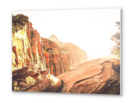 rocky mountain with strong sunlight at Zion national park, USA Metal prints by Timmy333