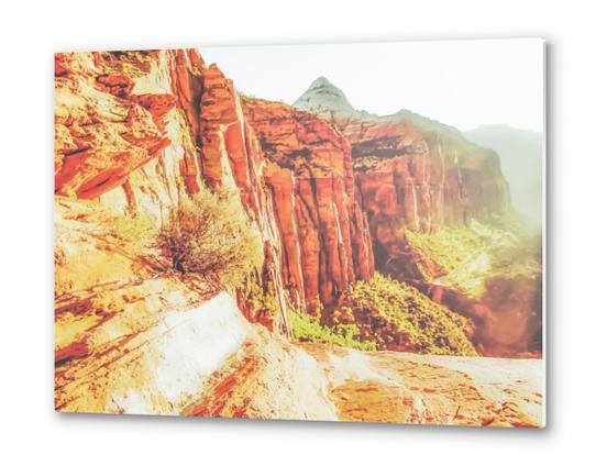 mountain view at Zion national park, USA with summer sunlight Metal prints by Timmy333