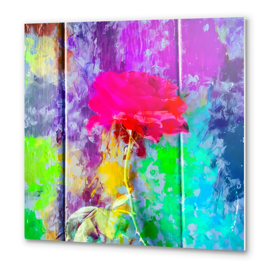 red rose with pink purple blue green yellow painting abstract background Metal prints by Timmy333