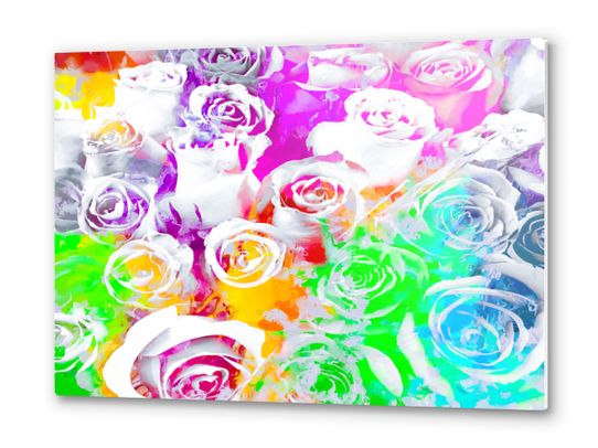 rose texture abstract  with colorful painting abstract background in pink blue green red yellow purple Metal prints by Timmy333