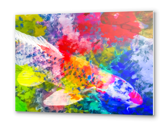 koi fish with painting texture abstract background in red blue yellow green Metal prints by Timmy333