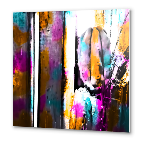 cactus with wooden background and colorful painting abstract in orange blue pink Metal prints by Timmy333