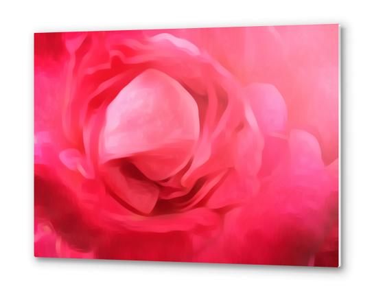 closeup red rose texture abstract background Metal prints by Timmy333